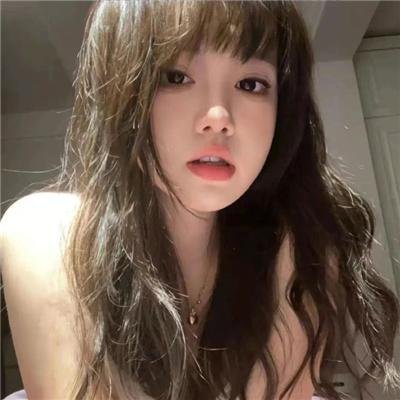 豹